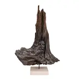 Naturalistic tree sculpture male face and female face verso by Possibly Alec Lacasse, Wood, marble stand Unsigned, sold Apr 2026