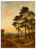 Woodland scene at sunset by Benjamin Williams Leader, oil on board, sold Apr 2026