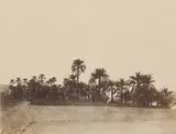 Palm Trees at Korosko by John Beasley Greene, print, sold Mar 2026