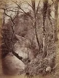 British and Irish Landscape Views by Payne Jennings, print, offered Mar 2026