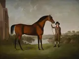 Mr. thomas ewart's bay racehorse by Charles Towne, Oil on canvas, sold Jun 2025