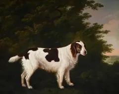 Portrait of a water spaniel in a landscape by John Boultbee, Oil on canvas, offered Jun 2025