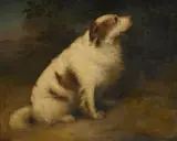 The spaniel 'carlo' in a landscape by Stephen Taylor, Oil on canvas, offered Jun 2025