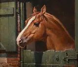 Arab horse 'willy' (rheoboam) by Fortunino Matania, Oil on canvas-board, sold Jun 2025
