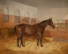 A bay horse in a stable by James Walsham Baldock, Oil on canvas, offered Jun 2025