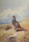 On the stubble by Archibald Thorburn, Watercolour heightened with white, sold Jun 2025