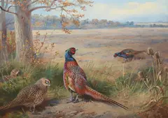 The old and the new by Archibald Thorburn, Watercolour and gouache, sold Jun 2025