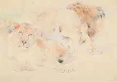 A lion and lioness by William Huggins, Pencil and watercolour, sold Jun 2025