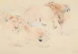 A lion and lioness by William Huggins, Pencil and watercolour, sold Jun 2025