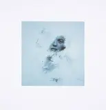 Leda and the Swan by Nina Mankin, photograph, offered Jun 2025