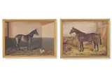 Brown swallow by William Wasdell Trickett, 1938, Oil on canvas, sold Jun 2025