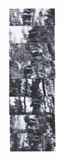 Ff # 3 by Pablo Cardoso, 2006, Acrylic on wood, eight works Each signed, titled, inscribed and dated, sold May 2025
