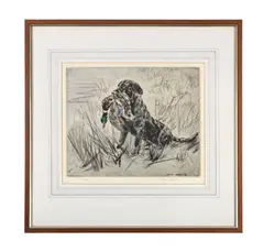 Spaniel retrieving mallard by Henry Wilkinson, Etching and aquatint, sold May 2025