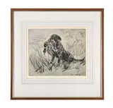 Spaniel retrieving mallard by Henry Wilkinson, Etching and aquatint, sold May 2025