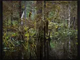 Kadachav II by Robert Glenn Ketchum, C-type print in colours, sold May 2025