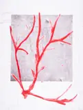 Untitled by Mimmo Paladino, Screenprint in colours, sold May 2025