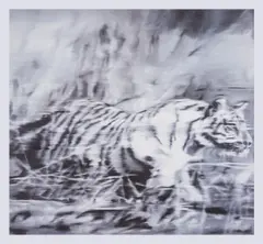 Tiger by Gerhard Richter, Offset lithograph, sold May 2025