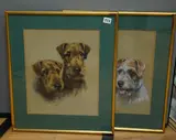 Studies of terriers by Mabel Gear, drawing, sold Jan 2026