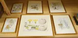 Six early 19th century botanical engravings by Ferdinand Bernhard Vietz, print (other), sold Jan 2026