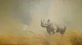 Study of a rhino and bird by Craig Bone, oil on canvas board, sold Nov 2025