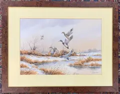 Alighting Mallard by Simon Trinder, watercolor, sold Oct 2026