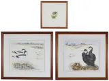 Cormorants-The Estuary by Ian Bowles, 2002, pencil, offered Nov 2019