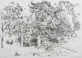 British Hampstead Heath by Sarah Medway, pencil, offered Dec 2016