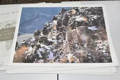 Eight signed limited edition prints on paper by Simon Combes, print (other), sold Mar 2025