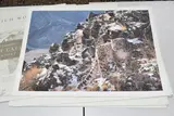 Eight signed limited edition prints on paper by Simon Combes, print (other), sold Mar 2025