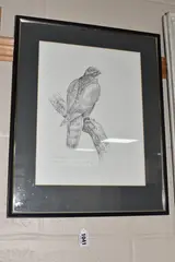 Sparrow hawk by Gareth Parry, oil, sold Feb 2025