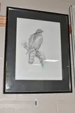 Sparrow hawk by Gareth Parry, oil, sold Feb 2025