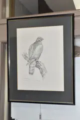 Sparrow hawk by Gareth Parry, oil, offered Feb 2025