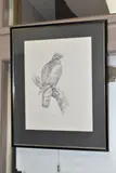 Sparrow hawk by Gareth Parry, oil, offered Feb 2025