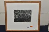 Danse macabre by Miriam Macgregor, engraving on paper, sold Feb 2025