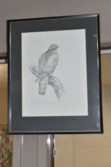 Sparrow hawk by Gareth Parry, oil, offered Jan 2025