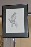 Sparrow hawk by Gareth Parry, oil, offered Jan 2025