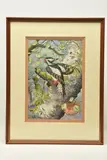 Great spotted woodpecker in glen tilt by Robin Gibbard, watercolour on paper, sold Nov 2024