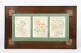 Flower Fairies three lithographs in colour by Walter Crane, print, sold Jun 2024