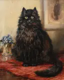 Black Cat Signed Robert Morley by Robert Morley, Oil on canvas, sold Jun 2024