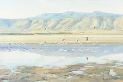 Flamingos at a watering hole Signed Donald Grant by Donald Grant, Oil on canvas, sold Jun 2024