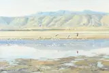 Flamingos at a watering hole Signed Donald Grant by Donald Grant, Oil on canvas, sold Jun 2024