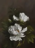 Magnolias Signed with initial S by Susie Philipps, Oil on board, sold Jun 2024