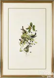 by R. Havell by John James Audubon, hand-colored engraving and aquatint, sold Oct 2025