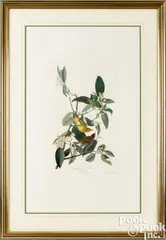 by R. Havell by John James Audubon, hand-colored engraving and aquatint, sold Oct 2025