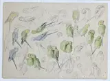 Étude d'oiseaux exotiques et perruches by Xavier de Poret, Mine de plomb, aquarelle, sold Nov 2025