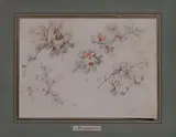 Fleurs by Jean-Baptiste Pillement, Crayon noir et sanguine, sold Nov 2025