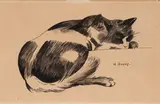 Chat by Auguste Jouve, Aquarelle, sold Apr 2026