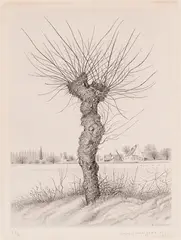 Un arbre by Kiyoshi Hasegawa, 1941, drypoint on paper, sold Apr 2025