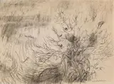 Spring, Vancouver Island by Molly Joan Lamb Bobak, 1960, graphite on paper, sold Mar 2025