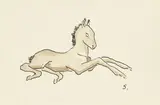 Fohlen by Renée Sintenis, Aquarell und Tuschfeder auf Papier, sold Jun 2018